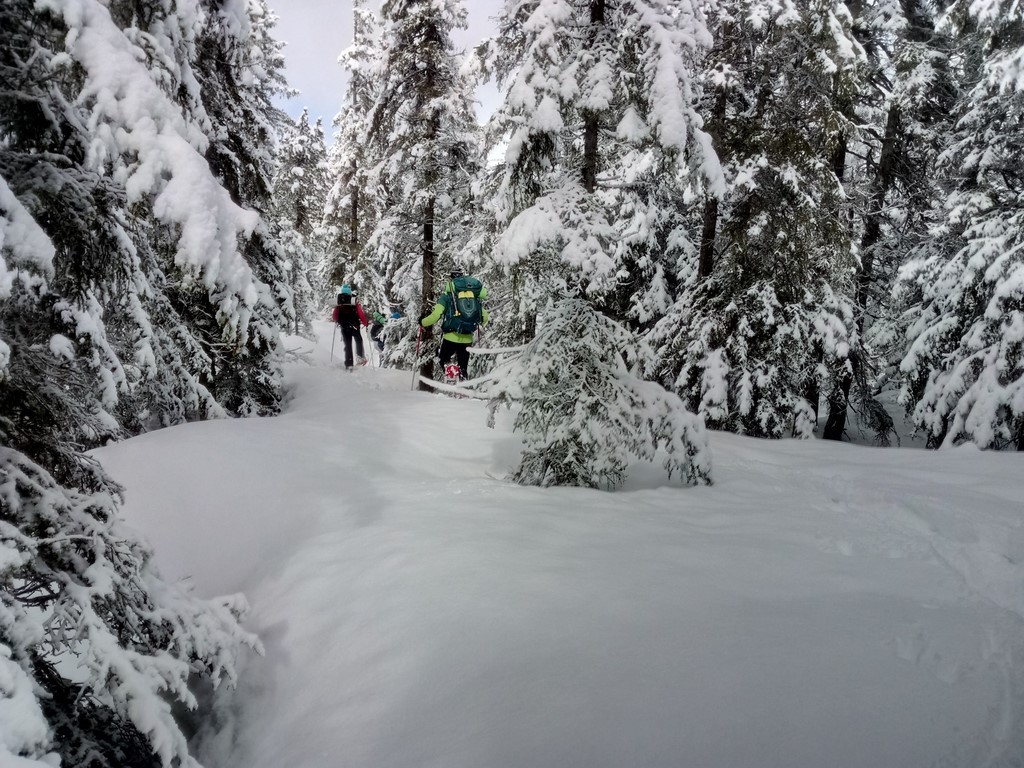 Stage de survie extrême en montagne