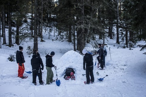 Stage Survie Hivernal